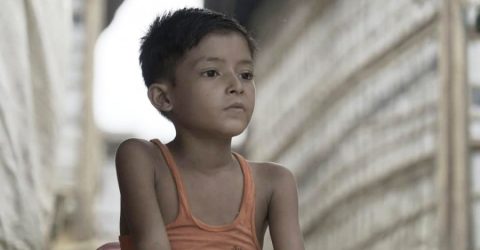 যুক্তরাষ্ট্রে নোমান রবিনের ‘ছাই থেকে ফুল’