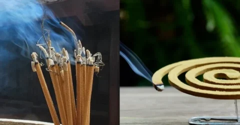 কয়েল-আগরবাতির ধোঁয়ায় কি রোজা নষ্ট হয়?