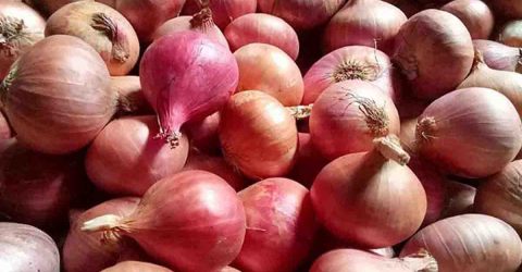 রাতে ভারত থেকে আসছে ১৬৫০ টন পেঁয়াজ