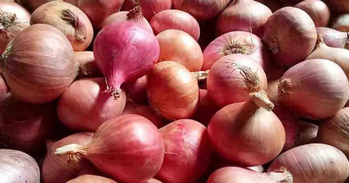 রাতে ভারত থেকে আসছে ১৬৫০ টন পেঁয়াজ