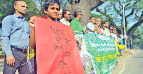 শতবর্ষী গাছ কেটে র‌্যাম্প নয়