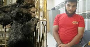 বান্দরবানে বিপন্ন ২টি ভাল্লুকের বাচ্চা উদ্ধার