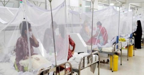 ভয়ঙ্কর বার্তা দিচ্ছে ডেঙ্গু, আগাম পদক্ষেপে স্বাস্থ্য মন্ত্রণালয়