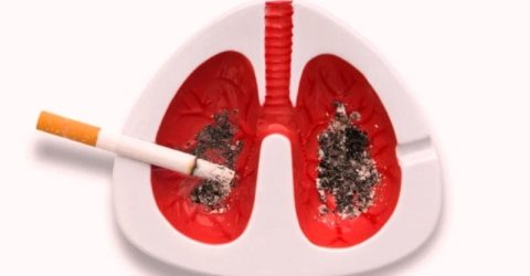 দেশে বছরে তামাকজনিত রোগে মৃত্যু ১ লাখ ৬১ হাজার