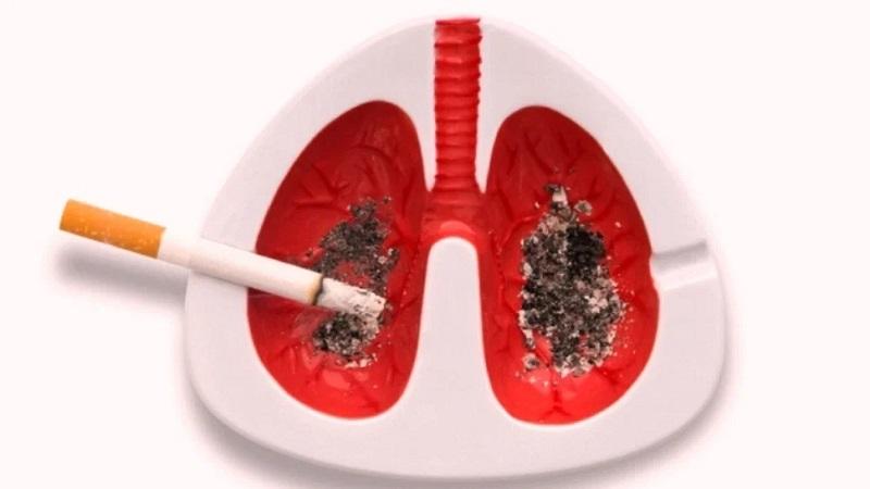 দেশে বছরে তামাকজনিত রোগে মৃত্যু ১ লাখ ৬১ হাজার