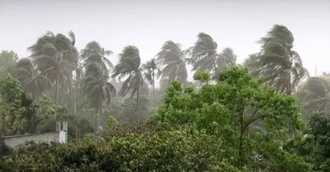 ঢাকাসহ ৪ অঞ্চলে ঝড়ের পূর্বাভাস, নদীবন্দরে সতর্কতা