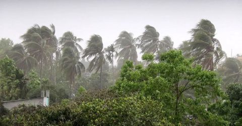 ছয় বিভাগে হতে পারে কালবৈশাখী, তাপমাত্রা কমতে পারে ৩ ডিগ্রি