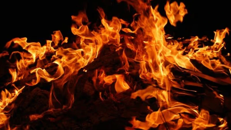 স্ত্রী-সন্তান ও শ্বশুরকে পুড়িয়ে হত্যা, যুবকের জেল