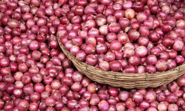 হিলি বন্দর দিয়ে ১০ হাজার টন পেঁয়াজ আমদানির অনুমতি