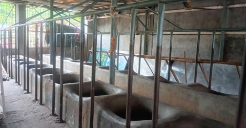 অভিযানের খবরে ফাঁকা সাদিক অ্যাগ্রো