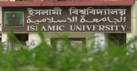 এবার ইবির রেজিস্ট্রারের অর্থ লেনদেনের অডিও ভাইরাল
