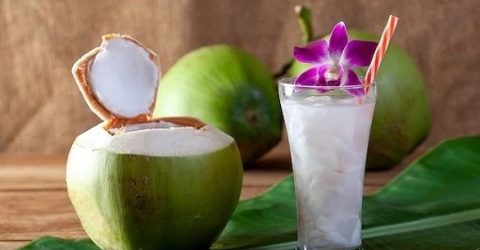 গরমে রোজ ডাবের পানি পান করুন