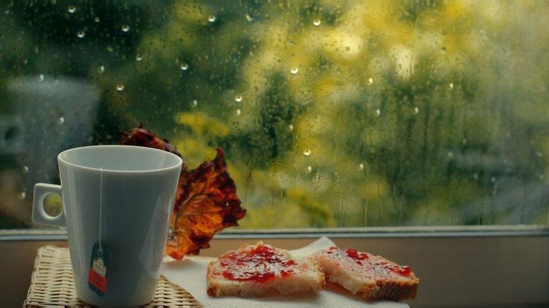 বর্ষার মৌসুমে এড়িয়ে চলুন এই খাবারগুলো