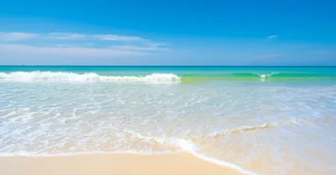 আকাশ থেকে সৈকতে আচমকা বস্তুর আঘাতে নিহত ৫, আহত শতাধিক