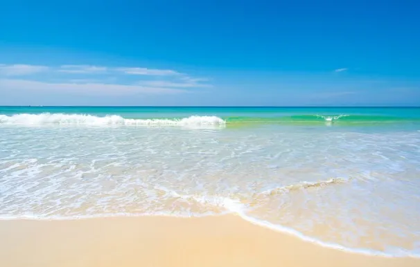 আকাশ থেকে সৈকতে আচমকা বস্তুর আঘাতে নিহত ৫, আহত শতাধিক