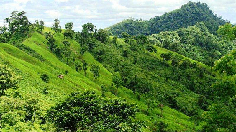 বান্দরবানে যৌথবাহিনীর অভিযানে কেএনএফ সদস্য নিহত