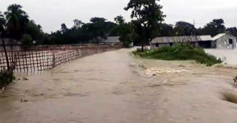 ভারী বর্ষণে বাঘাইছড়ির নিম্নাঞ্চল প্লাবিত