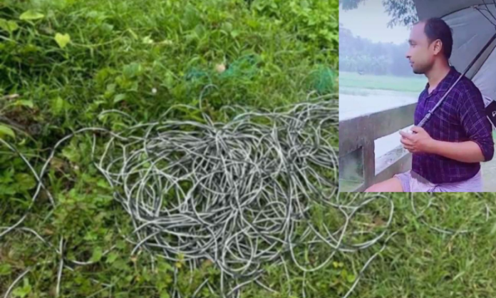 রাঙ্গুনিয়ায় ঠিকাদারের অবৈধ সংযোগে বিদ্যুৎস্পৃষ্টে কৃষকের মৃত্যু