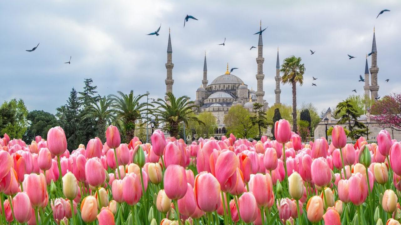 উহুদ যুদ্ধে প্রিয়নবী সা.-এর ঢাল হয়েছিলেন যে সাহাবি