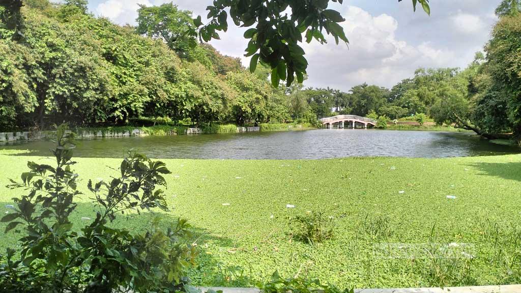 বোটানিক্যাল গার্ডেনের টিকেট মূল্য নিয়ে বিভ্রান্তি, ক্ষোভ