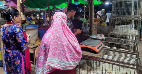 মুরগির বাজারে নিম্নগতি, বাচ্চার দরেও স্বস্তি