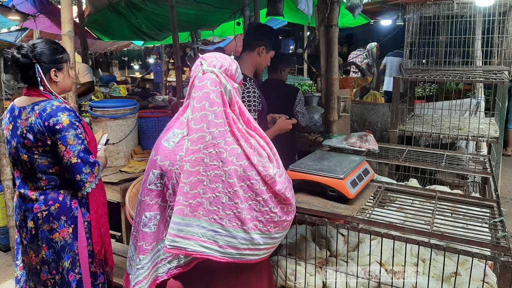 মুরগির বাজারে নিম্নগতি, বাচ্চার দরেও স্বস্তি