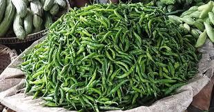 কাঁচা মরিচের ঝাঁজে নিত্যপণ্যের বাজারে দিশেহারা ক্রেতারা