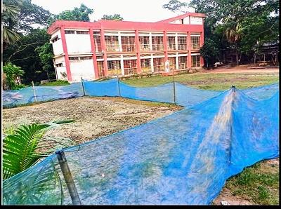 বিদ্যালয়ের মাঠে ধান চাষ করলেন শিক্ষিকা