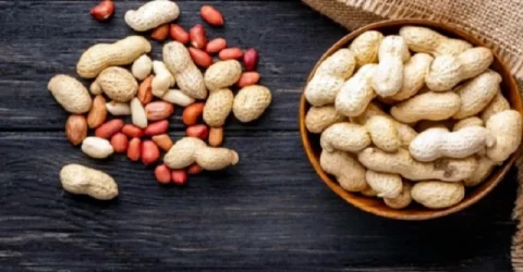 কাঁচা বনাম ভাজা, কোন বাদাম বেশি উপকারী