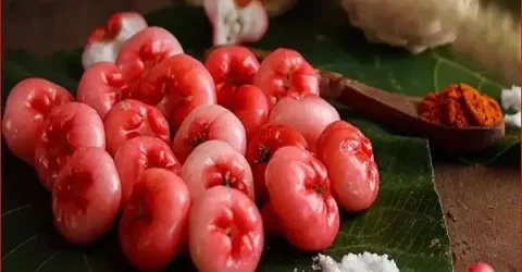 ডায়াবেটিস নিয়ন্ত্রণসহ জামরুলের যত স্বাস্থ্য উপকারিতা