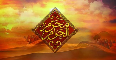 সব জ্ঞানের উৎস মহান আল্লাহ