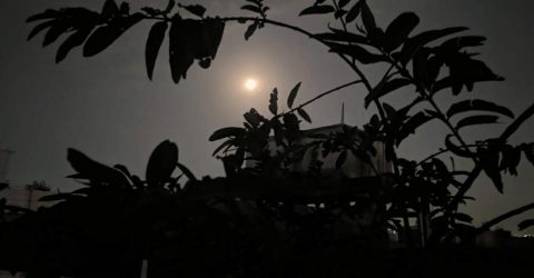 বাড়বে রাতের তাপমাত্রা