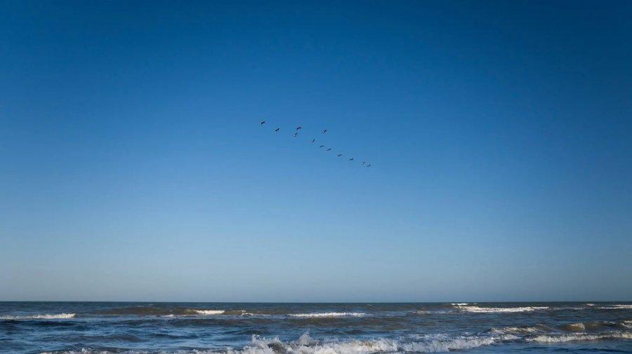 নাম পরিবর্তনের রাজনীতি: মেক্সিকো নাকি আমেরিকা উপসাগর?