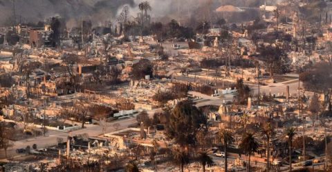 ডিজনির ১৮৩ কোটি টাকা অনুদান ঘোষণা