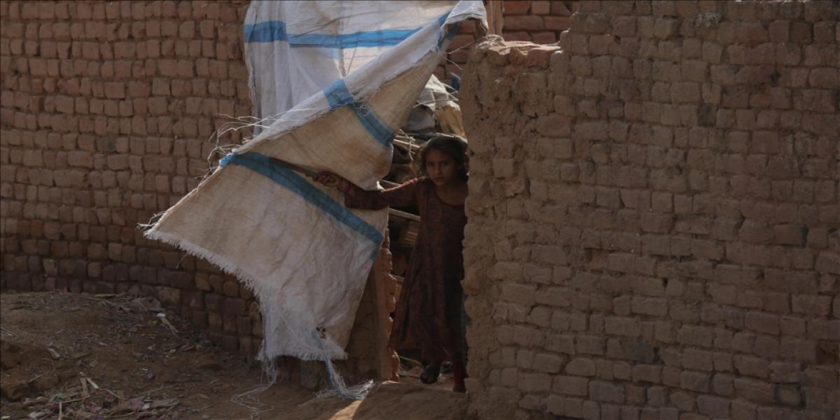 আফগান শরণার্থীদের ‘অবকাঠামোগত সহায়তার’ আশ্বাস ভারতের