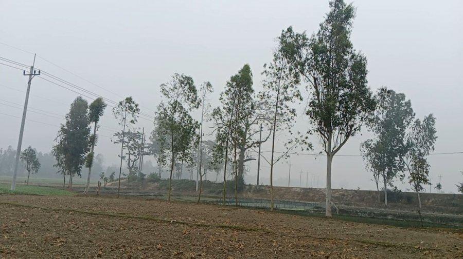 হিমেল বাতাসের সঙ্গে গুঁড়ি গুঁড়ি বৃষ্টি, শীত বাড়ছে দিনাজপুরে