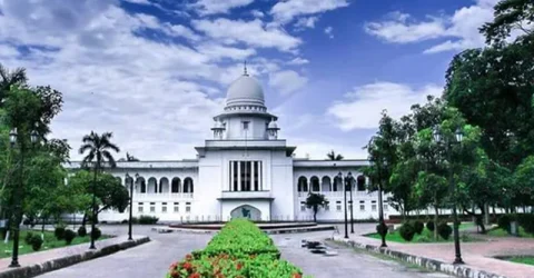 গাছ কাটতে লাগবে অনুমতি— হাইকোর্টের রায়