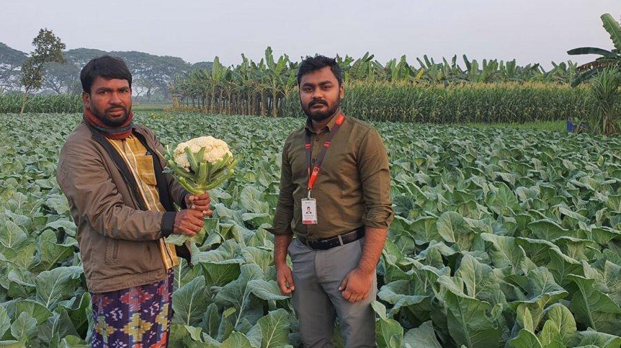 দাম না পেয়ে জমিতেই নষ্ট হচ্ছিল ফুলকপি, কিনে নিলো ‘স্বপ্ন’