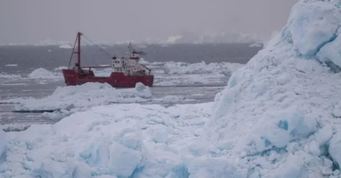 গ্রিনল্যান্ড কিনতে মরিয়া ট্রাম্প
