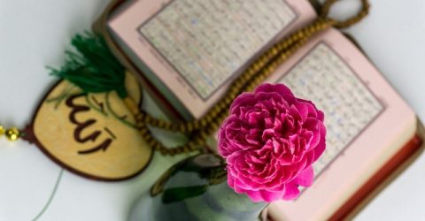 ইসলামের সন্ধানে পারস্য থেকে মদিনায় এসেছিলেন যে সাহাবি