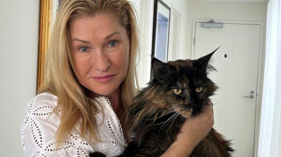 ক্রুদের ভুলে ৩ বার আকাশপথে ভ্রমণ করলো বিড়াল