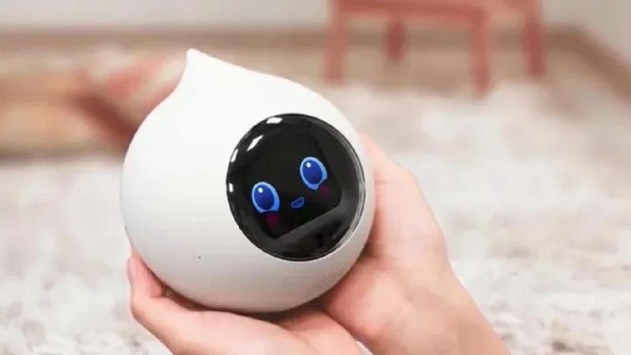 একাকিত্বে সঙ্গ দেবে ‘রোমি’