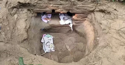 সুড়ঙ্গ খুঁড়ে ব্যাংক ডাকাতির চেষ্টার ঘটনায় তদন্ত কমিটি