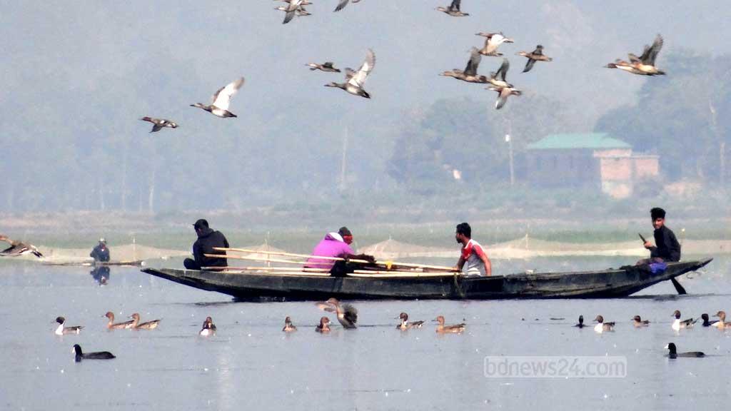 ‘মানুষের উৎপাতে’ পাখি নেই টাঙ্গুয়ার হাওরে