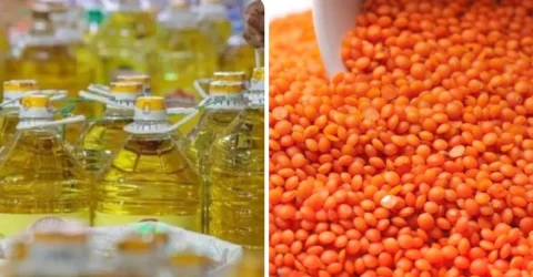 টিসিবির জন্য ২৮৪ কোটি টাকার তেল-ডাল কিনবে সরকার