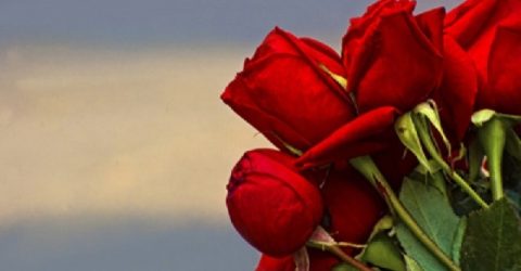 যে কারণে ভালোবাসার প্রতীক গোলাপ