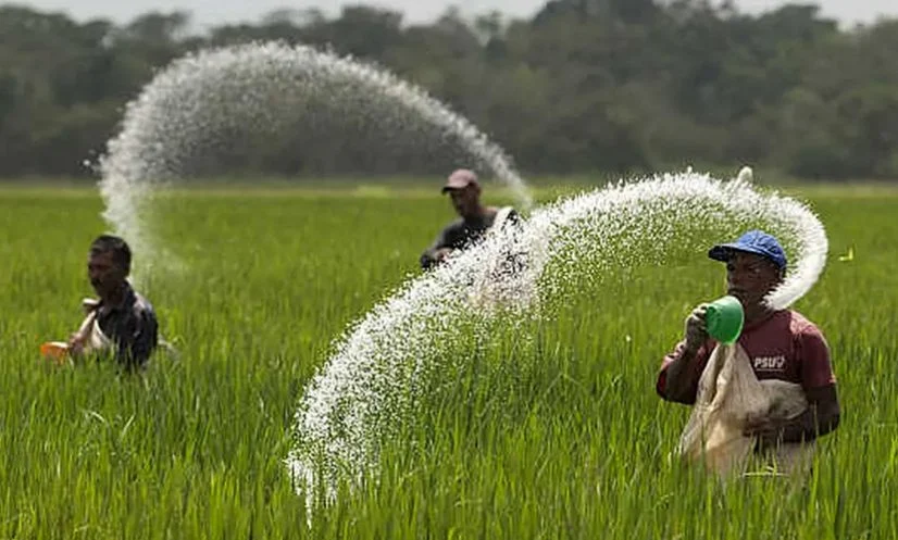 ১ লাখ ৪০ হাজার টন সার ও ফসফরিক অ্যাসিড কিনবে সরকার