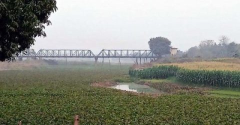 সীমান্তে আটক ভারতীয় নাগরিককে পতাকা বৈঠকের মাধ্যমে ফেরত দিয়েছে বিজিবি