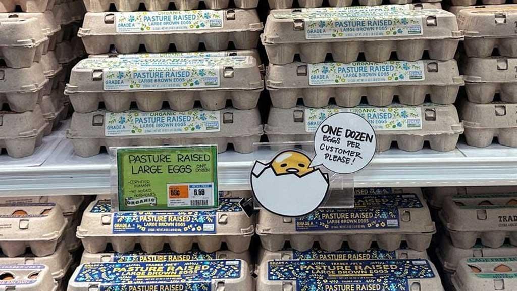 মা হচ্ছেন অভিনেত্রী স্বাগতা