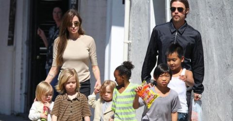 ব্র্যাড-জোলির সন্তানরা সিনেমায় আসতে আগ্রহী নন